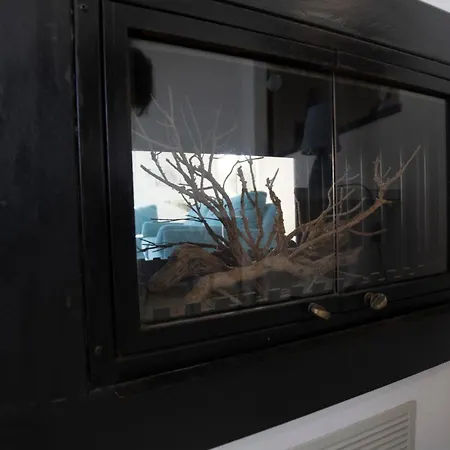 257b - Maiso - Vista Mare, Giardino E Piscina Privata A 2 Minuti Di Auto Dalle Spiagge E Mare - Parcheggio Privato Incluso Апартаменты Лаванья